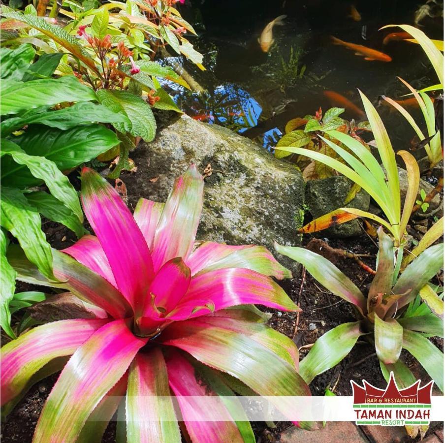 Taman Indah Resort Tamanredjo Eksteriør billede