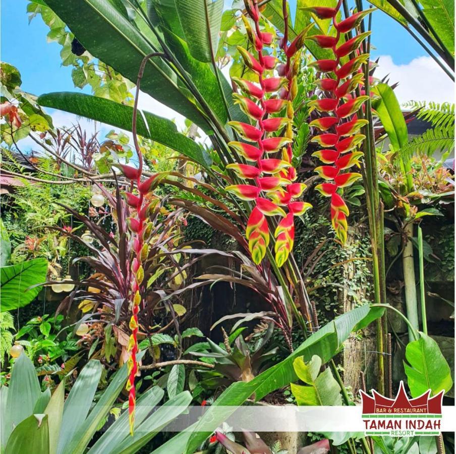 Taman Indah Resort Tamanredjo Eksteriør billede
