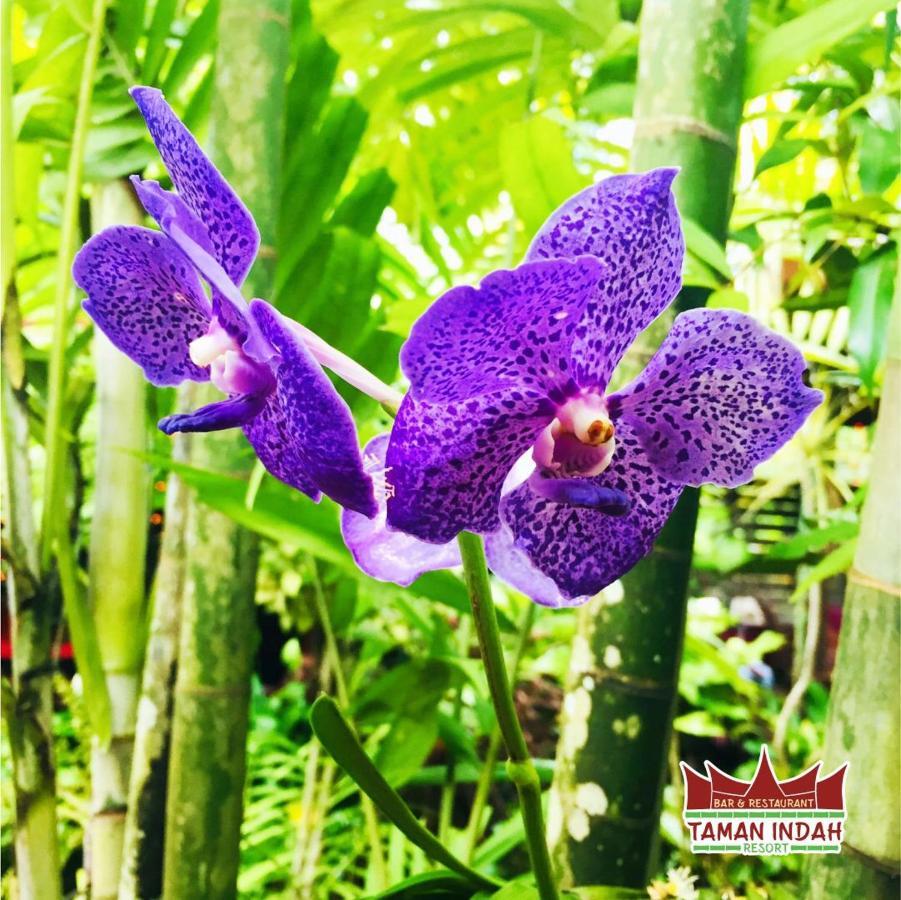 Taman Indah Resort Tamanredjo Eksteriør billede
